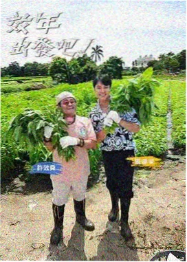 天美影视口碑综艺荒野厨房在线观看